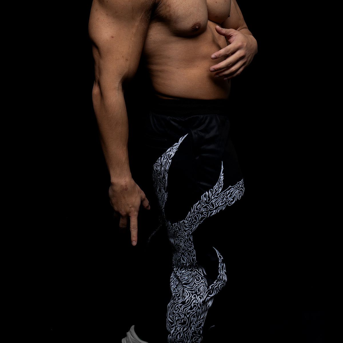 Veritate x Flexzone Gym Hardcore Sports Gear Track Pants VCS-005